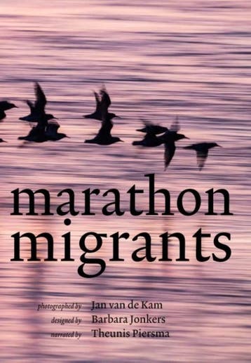 Marathon migrants 9789056153793 Theunis Piersma, Verzenden, Theunis Piersma