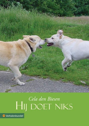 Hij doet niks 9789048409181 Cela den Biesen, Verzenden, Gelezen, Cela den Biesen