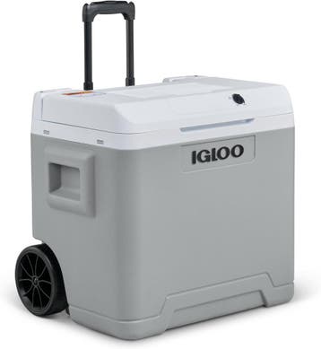 Igloo 42L 12V/230V koelbox | Tweede kansje | OP = OP, Verzenden, Zo goed als nieuw, Koelbox, Elektrisch