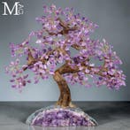 Een exclusieve collectie van unieke en verfijnde stukken -, Verzamelen