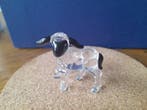 Swarovski - Figurine - Lamb blackhead - 654305 - Box +