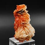 Storm van vanadinite bloedrood op witte bariet Kristallen op