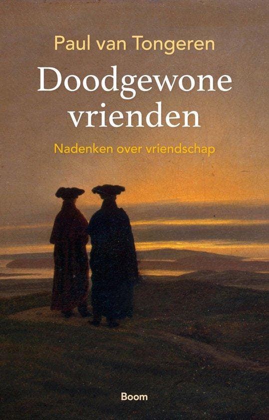 Doodgewone vrienden - Paul van Tongeren - 9789024438198 - Pa, Boeken, Filosofie, Verzenden