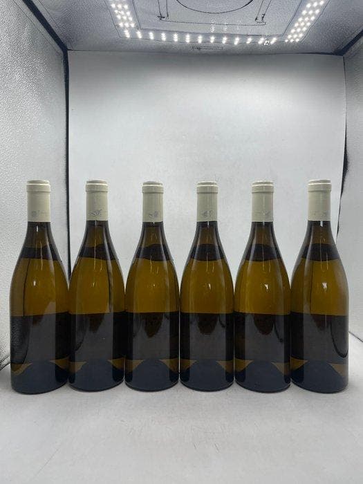 2020 Domaine Françoise & Denis Clair - Santenay AOC - 6, Collections, Vins