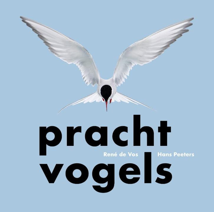 Prachtvogels 9789464711752 René de Vos, Boeken, Hobby en Vrije tijd, Zo goed als nieuw, Verzenden