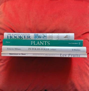 Brosse/Desmond/Harter/Milano - Herbariums, Plants & Fruits