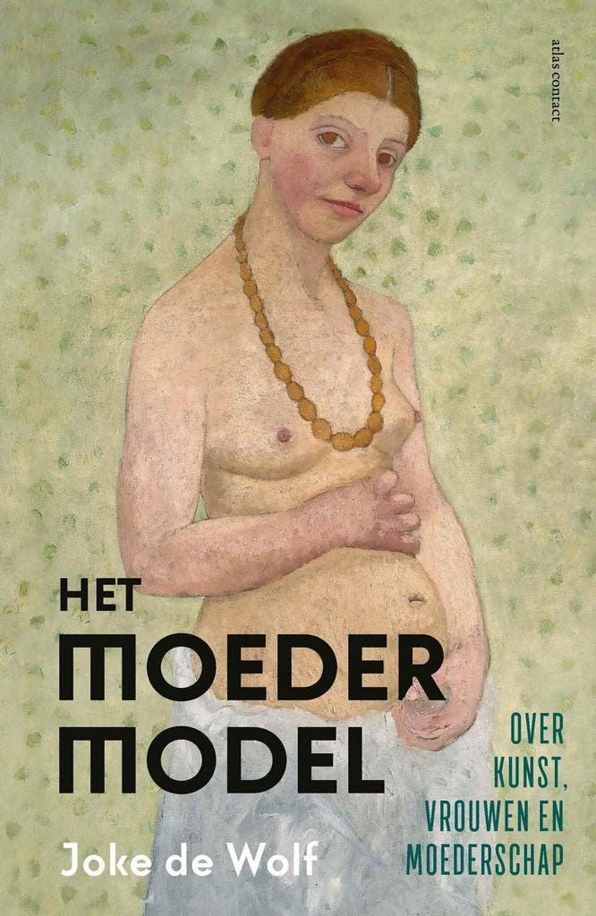 Het moedermodel (9789045046648, Joke de Wolf), Boeken, Politiek en Maatschappij, Nieuw, Verzenden