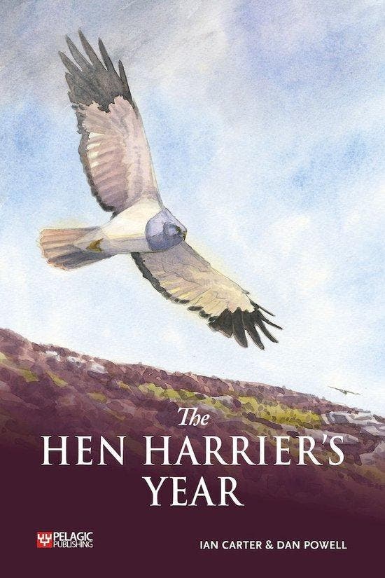 The Hen Harriers Year 9781784273859 Ian Carter, Livres, Langue | Anglais, Envoi
