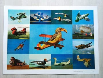 Martin Schwarz (1946) - Vogelflieger