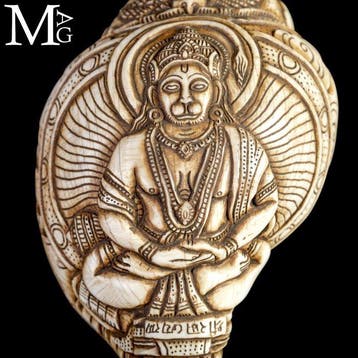 Antieke Hindu Shankha-schelp - Handgesneden snijwerk