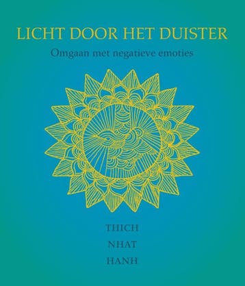 Licht door het duister 9789025904722 Thich Nhat Hanh, Boeken, Verzenden, Zo goed als nieuw, Thich Nhat Hanh