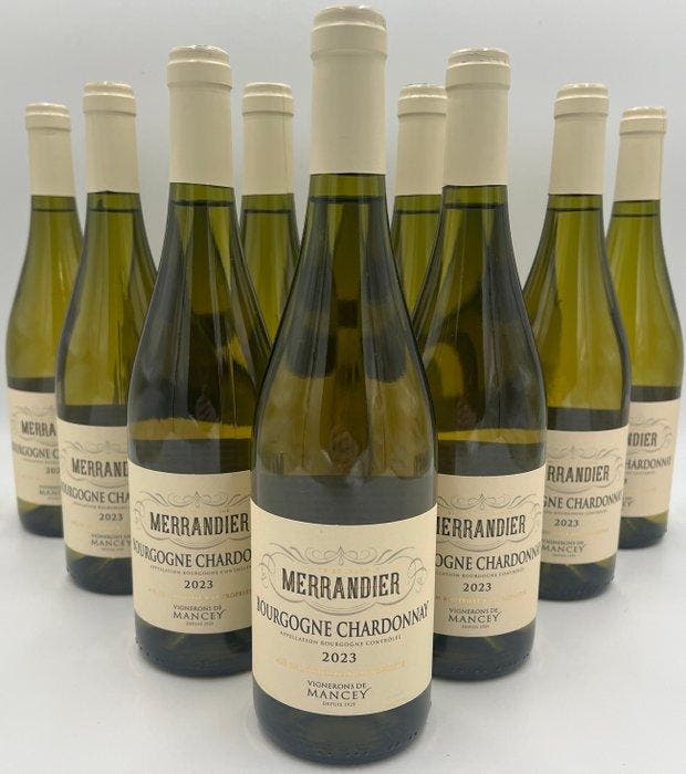 2023 Merrandier Bourgogne Chardonnay - Bourgogne - 12, Collections, Vins