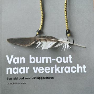 Van weerzin naar weer zin 9789081314503 Rob Hoedeman, Verzenden, Gelezen, Rob Hoedeman