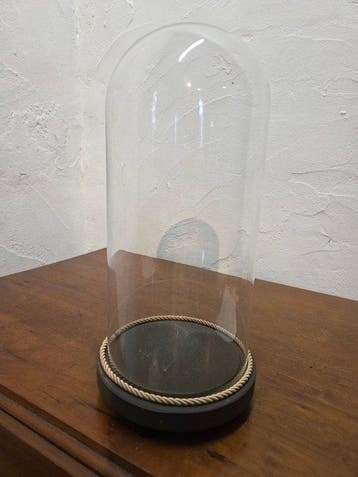 Globe - stolp - antiek - 1901-1920 - Cloche ronde ancienne, Antiek en Kunst