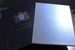 Pays-Bas - Collection dans un album DAVO, feuillets dalbum