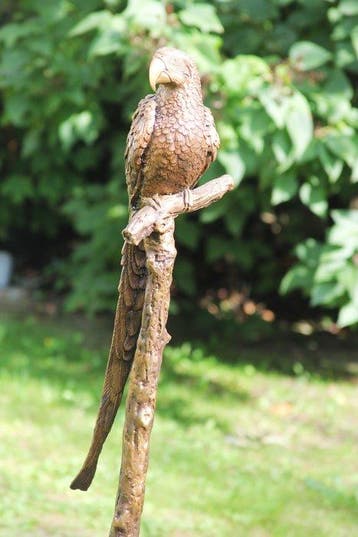 sculptuur, parrot on tree - 78 cm - Brons