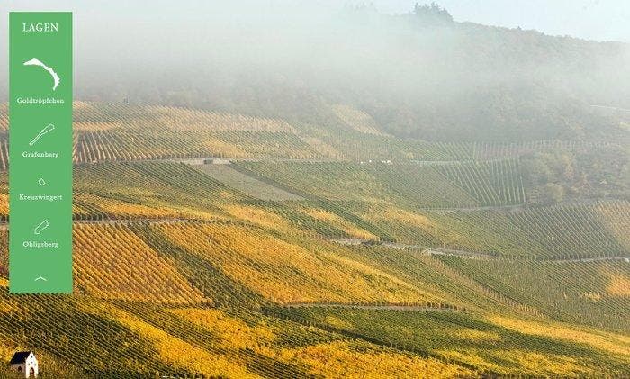 2003 Reinhold Haart, Piesporter Goldtröpchen Riesling -, Collections, Vins