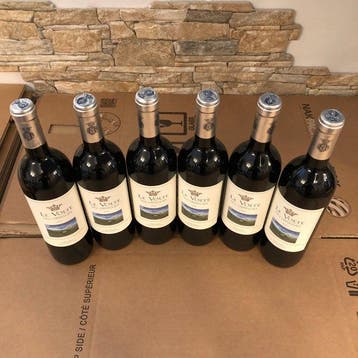 2024 Ornellaia, Le Volte dell’Ornellaia - Toscane IGT - 6, Verzamelen, Wijnen, Nieuw