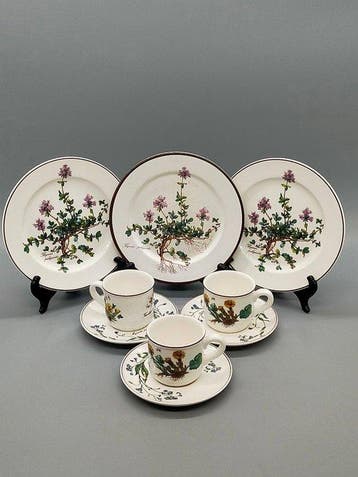 Villeroy & Boch - Koffieservies - Botanica Kaffeeservice