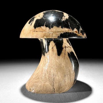 PAS DE PRIX DE RÉSERVE - Sculpture de champignon en bois, Antiquités & Art