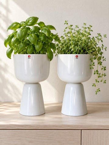 iittala (H26 cm) - Matti Klenell - Bloempot - Nappula -
