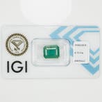 Zonder minimumprijs - 1 pcs Groen Smaragd - 6.15 ct -, Nieuw