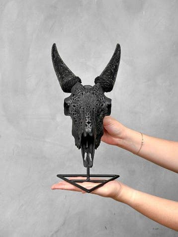 PAS DE PRIX DE RÉSERVE - Crâne de chèvre noir sculpté à la