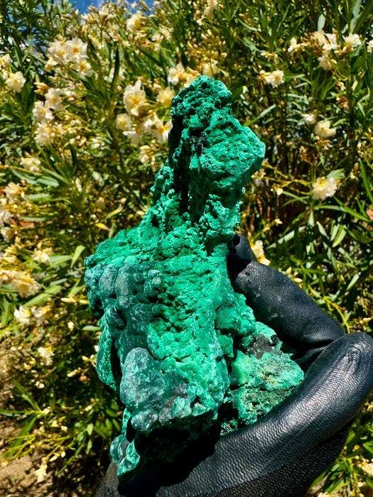 Unieke fluweelgroene malachiet Kristal op matrix - Hoogte:, Verzamelen, Mineralen en Fossielen