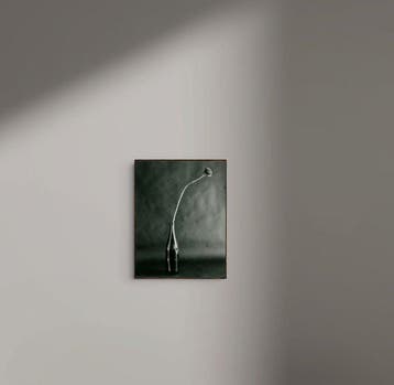 Tenmi HANAGI - FLEURISME-dead helianthus annuus -gelatin