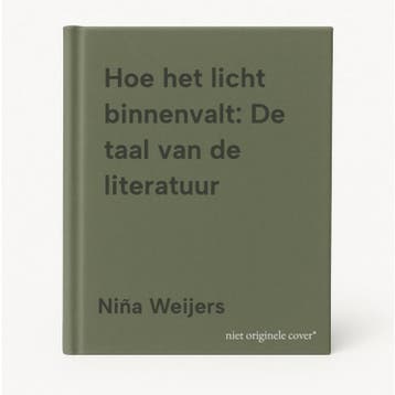Hoe het licht binnenvalt: De taal van de literatuur, Verzenden, Niña Weijers