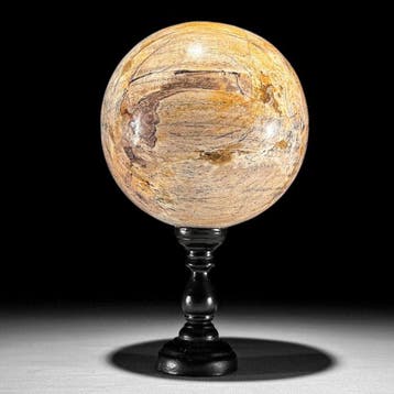 Prachtig paar versteend hout - Gefossiliseerd hout - Spheres