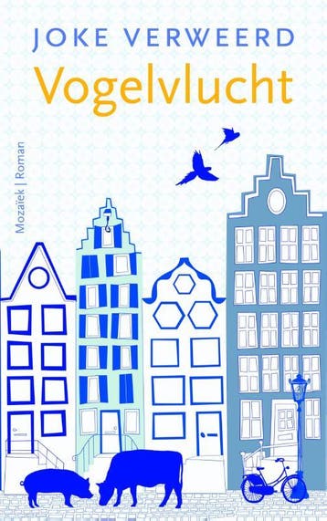 Vogelvlucht 9789023996873 Joke Verweerd, Verzenden, Zo goed als nieuw, Joke Verweerd