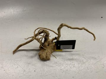 Spiderwood Selected SW85 - 36x13x17cm (Spider wood), Ophalen of Verzenden, Nieuw, Plant(en), Steen of Hout