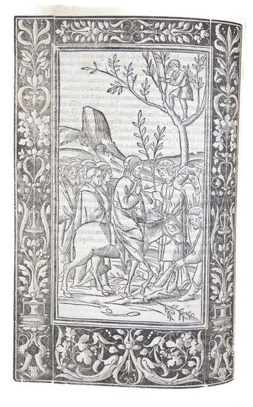 Vigerio - [Post Incunable] Decachordum - 1507