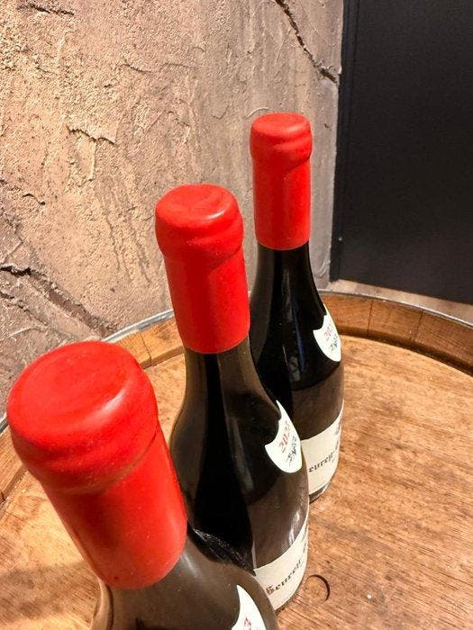 2023 Domaine Fourrier Vieille Vigne - Gevrey Chambertin -, Verzamelen, Wijnen