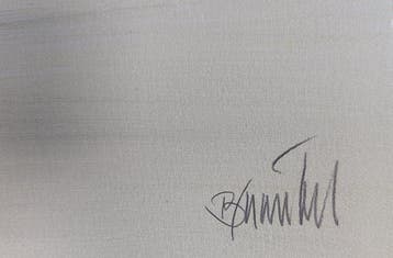 Thomas Baumgärtel (1960) - Richter Banane (zu Gerhard