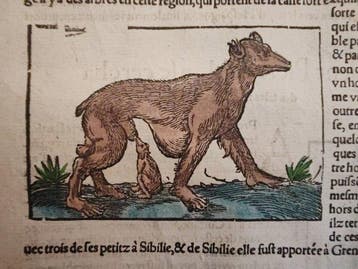 Sebastian Münster (1489–1552) - Cosmographie Universelle -