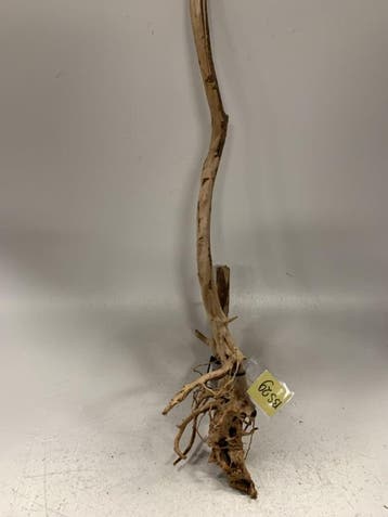 Boutique Stump Selected BS29 - 86x26x14cm (Natuurlijk hout), Ophalen of Verzenden, Plant(en), Steen of Hout