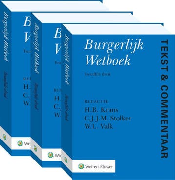 Tekst & Commentaar Burgerlijk Wetboek / 1 en 2 / Tekst &, Verzenden, Gelezen