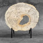 Magnifique tranche de bois pétrifié sur un socle