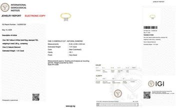Ring - 18 karaat Geel goud, Witgoud - 1.01ct. tw. Diamant