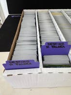 Pokémon - 3900 Bulk kaarten 3900, Nieuw