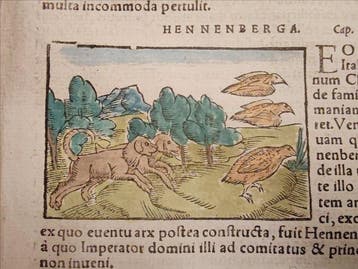 Sebastian Münster (1489–1552) - Cosmographia Universalis -