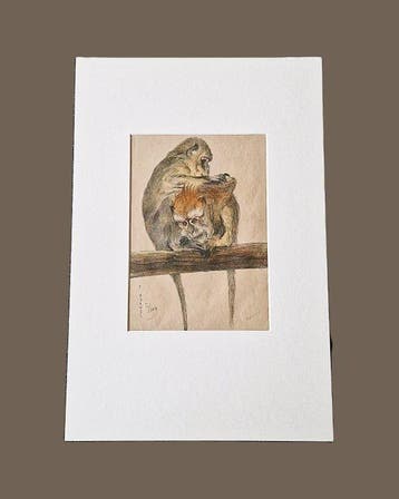 Theo Dijkwel (1881-1952) - aapjes