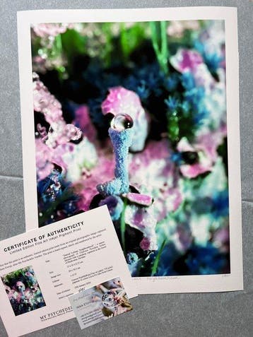 Inna Etuvgi - Surreal Lichens Neighbourhood