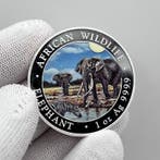 Somalië. 100 Shilling 2026 – African Wildlife Series –, Postzegels en Munten, Munten | Europa | Niet-Euromunten