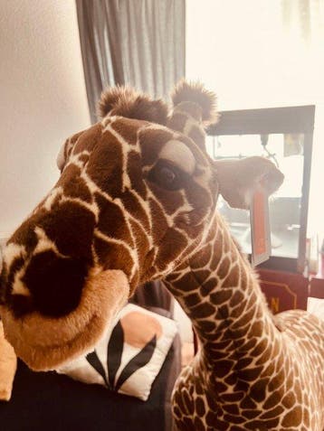 la pelucherie - Animal en peluche Girafe Zoé 160 cm - France