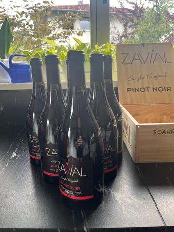 2017 Zavial, Single Vineyard Pinot Noir - Lissabon Reserva -, Nieuw