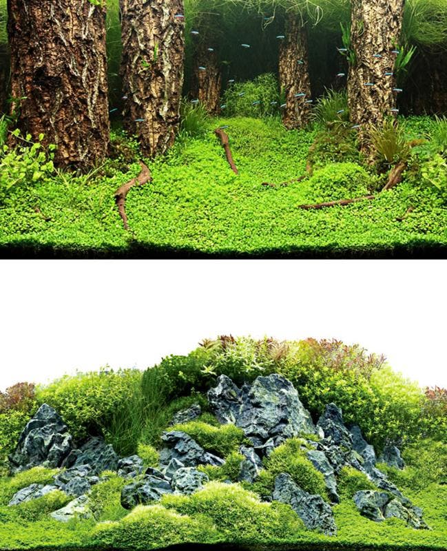 Osaka achterwandposter 631 30cm hoog - 31025 (Achterwanden), Dieren en Toebehoren, Vissen | Aquaria en Toebehoren, Nieuw, Ophalen of Verzenden