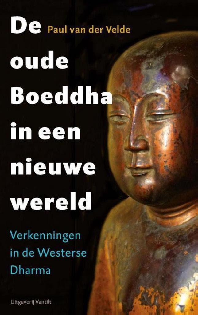 De oude Boeddha in een nieuwe wereld 9789460042461, Livres, Religion & Théologie, Envoi